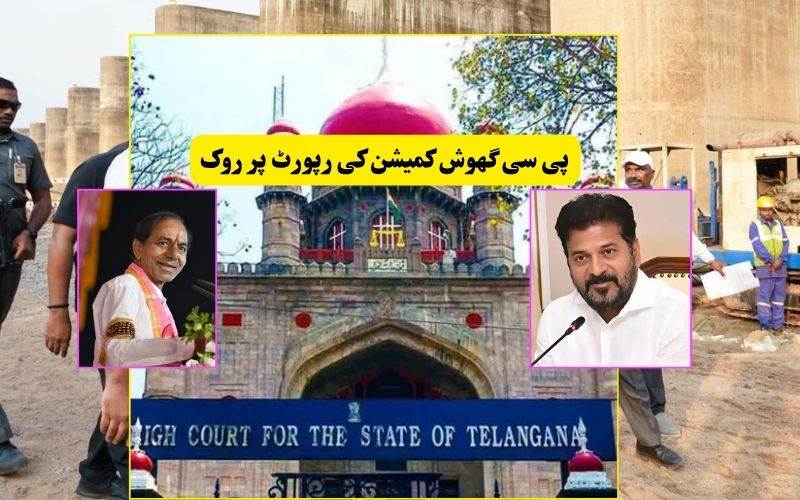 کالیشورم,پی سی گھوش کمیشن: تلنگانہ ہائی کورٹ نے حکومت کو کے سی آر کے خلاف کاروائی کرنے سے روک دیا